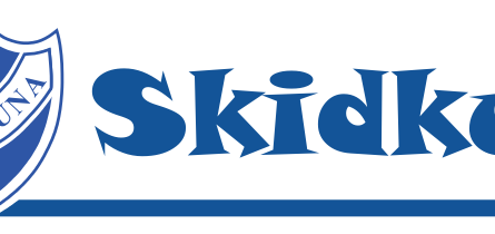 Skidkul