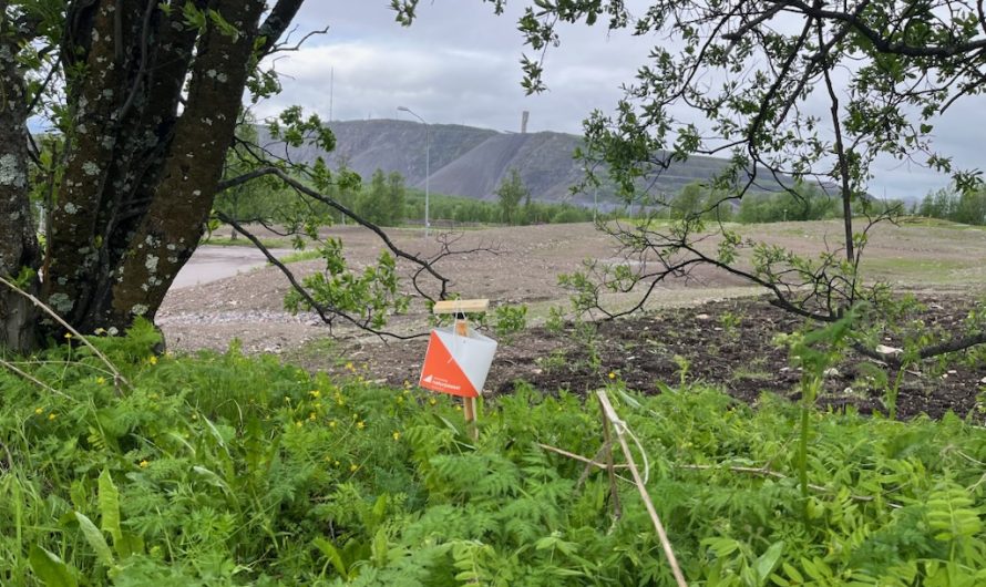 Sommarlov i Gruvstadsparken