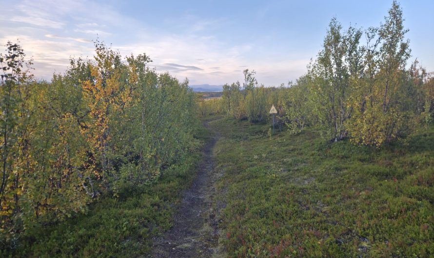 Delta i XC mountainbike Luossavaara